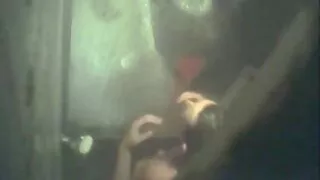 خوبصورت آدمی ایک سلیکون لیڈی فيلم سكسى fucks.