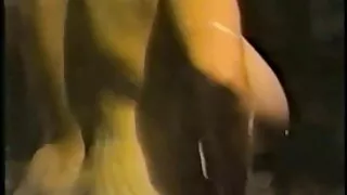 آبنوس ڈاکیا fucks. دانلود فیلم سکسی وحشی